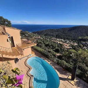 Pétale De Rose , Cavalaire-sur-Mer France